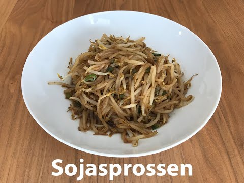 Sojasprossen in 5 min - Chinesisches Essen - Einfach, schnell und lecker
