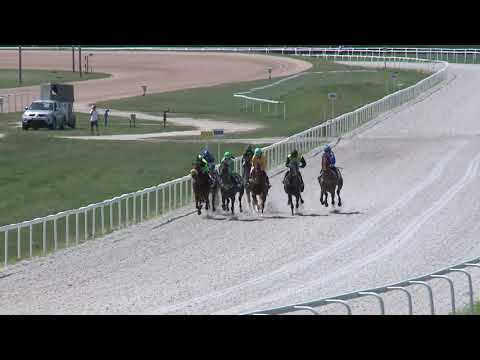 2019.06.30. 02. futam - EQUINE PRODUCTS HENDIKEP (II.o.) (szintetikus pálya)