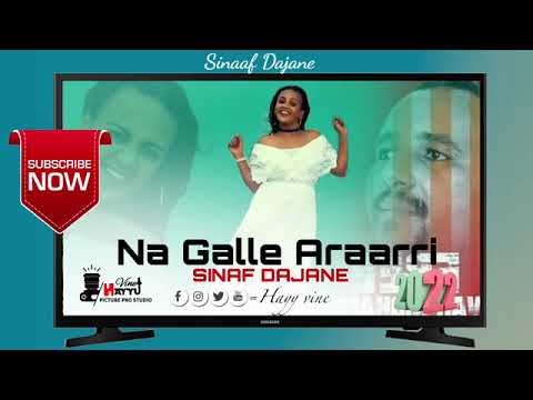 Sinaaf dajanee-naaf hin galle-new oromo music-2022