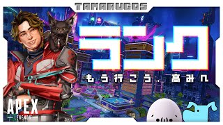 【 APEX / ランク 】ダイヤ帯まで駆け抜ける【 エーペックス 】