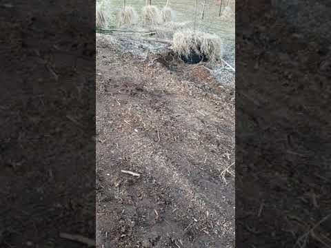 Home Sweet Homestead !