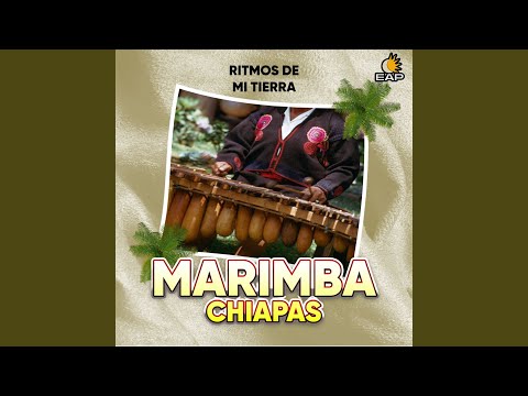 Bailando en tercera dimension