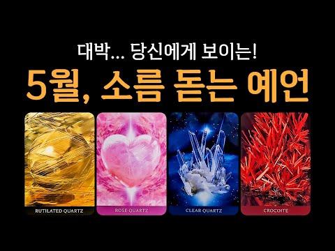 [타로] 신점 같은 소름 예언🫢 5월 운세, 정말 축하드려요🙏