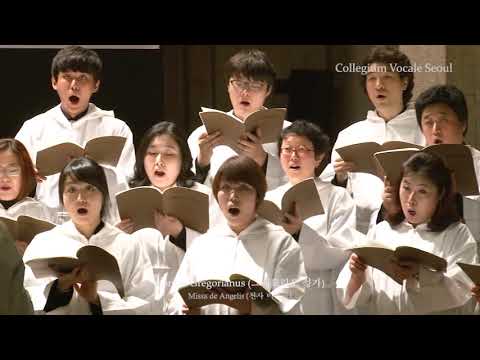 Missa de Angelis - Collegium Vocale Seoul (콜레기움 보칼레 서울)