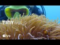 Tiny World — Filming Inside the Reef | Apple TV+