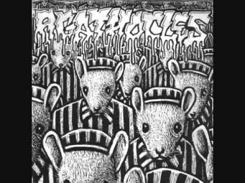 Agathocles - Media Creations