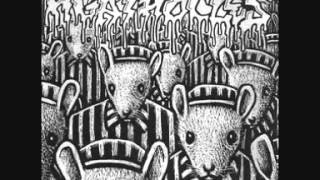 Agathocles - Media Creations