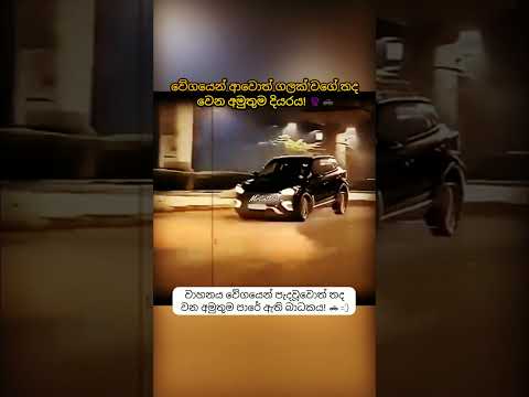 වේගයෙන් ආවොත් ගලක් වගේ තද වෙන අමුතුම දියරය! 😱🚗 #fypviral #fypviralシ #mrcatvibe