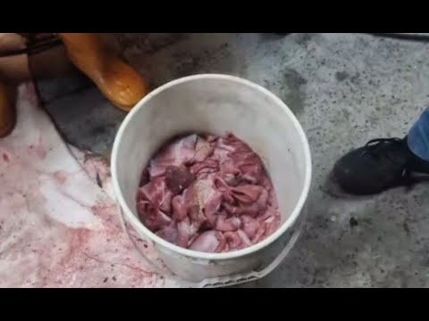 Carne de curtiembres usada para hacer chorizos, pinchos y empanadas en puestos callejeros de Bogotá