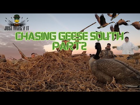 Just Wing'n It SOUTHERN SHOWDOWN Pt. 2 Unleashing on Canada Geese! 🌟 Season Finale!