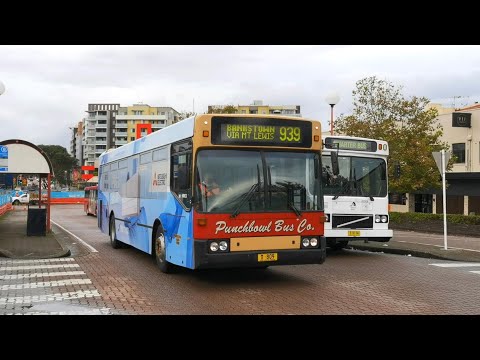 Punchbowl Bus Co M/O 809  - Scania L113CRL Austral Pacific “Metro 90”