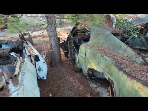 1969 Ford Mustang Mach 1 Junkyard Find