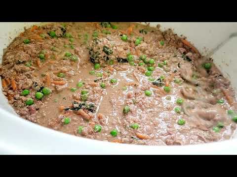 Homemade Wet Dog Food Recipe// fresh ingredients