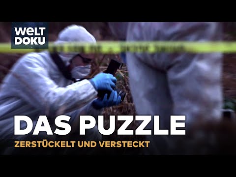 TRUE CRIME: Das Puzzle - Zerstückelt und versteckt! | Dem Täter auf der Spur S1E04 | WELT HD DOKU
