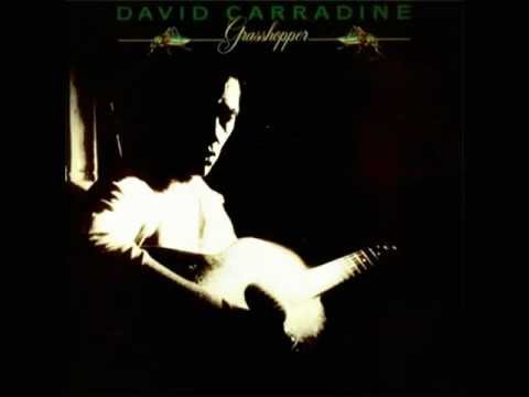 David Carradine - Around