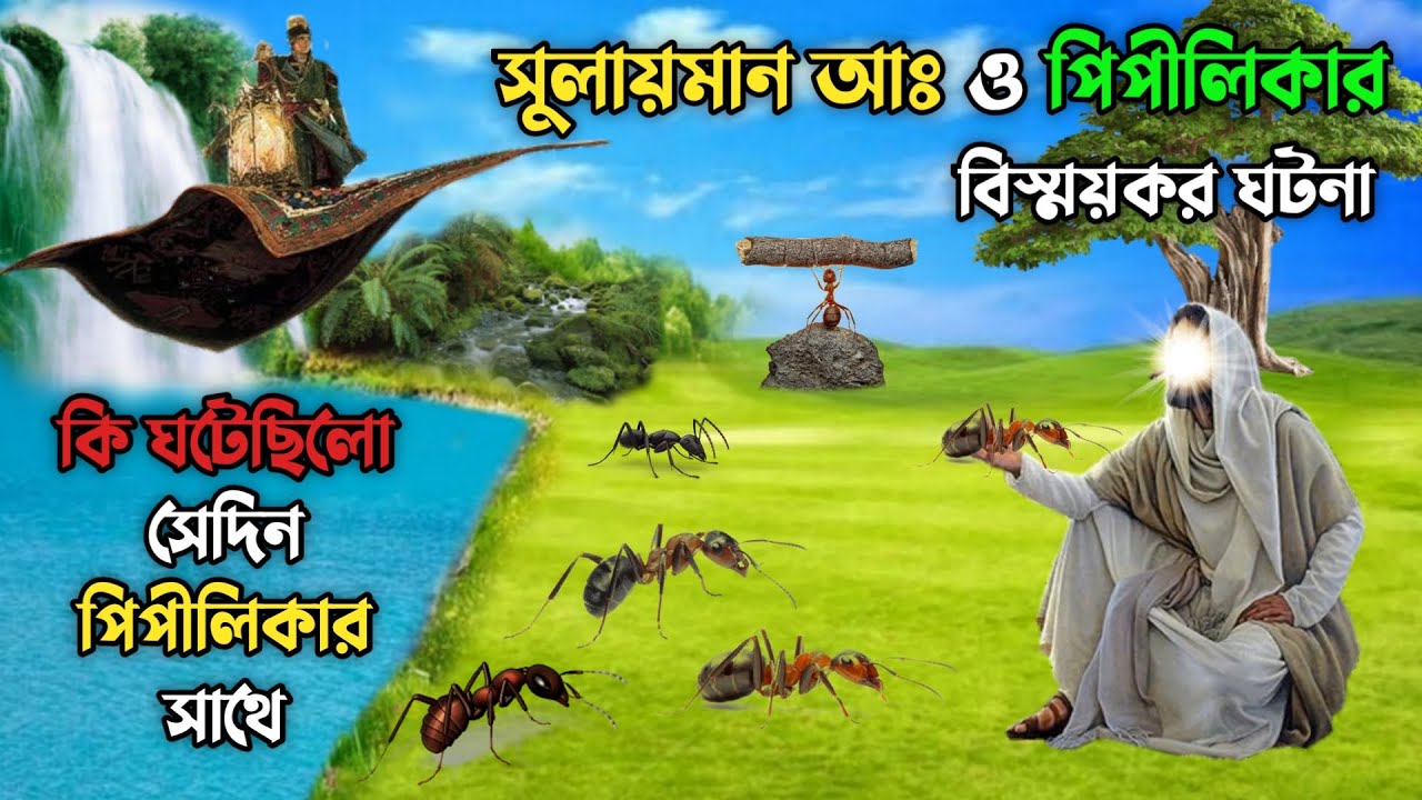 হজরত সুলায়মান আঃ ও পিপীলিকার বিস্ময়কর ঘটনা || কি ঘটেছিলো সেদিন পিপীলিকার সাথে || Educational Story