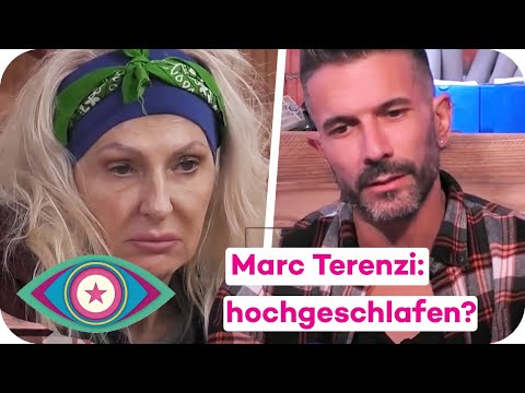 Marc Terenzi und die Frauen - hat er sich hochgeschlafen? | Promi Big Brother 2025 | SAT.1