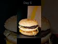 Big Mac 14 Day Time Lapse 🍔👀