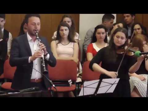 Wie Tief Kann Ich Fallen - Clarinet and Violin