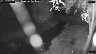 River Camera Live Stream live webcam
