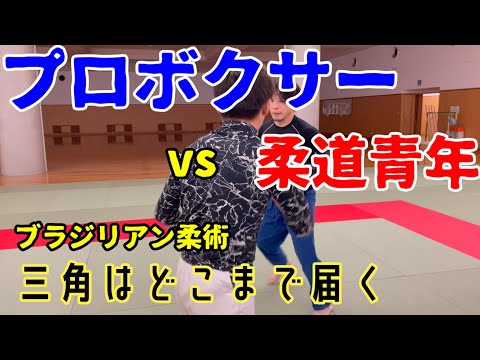 【ブラジリアン柔術】スパイダーガードから三角絞めはどこまで届く？高さ別に検証してみた！～おまけ動画、柔道チャンピオン（19歳）vs 元プロボクサー！「元プロボクサー同士の真剣スパー！4回戦vs8回戦」