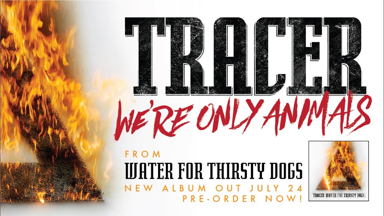 Tracer - Were Only Animals [Water For Thirsty Dogs] - YouTube