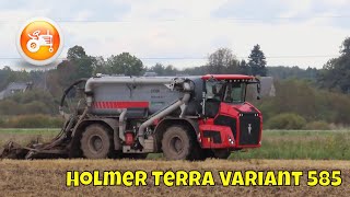 Slurry 2025 | Holmer Terra Variant 585