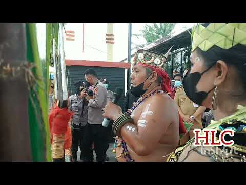 Kapolda Kalteng Potong Pantan