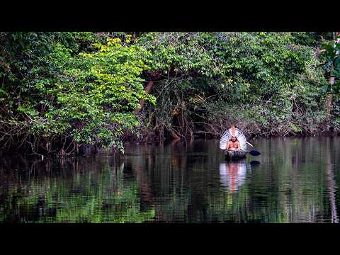 The Chiefs: The Last Defenders of the Amazon | Free Documentary