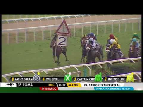 Kathy Dream - Premio Aloisi, Gr.3