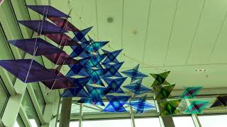 Philip Noyed Installation