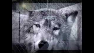 Hazme un Sítio Entre Tu Piel - English Sub