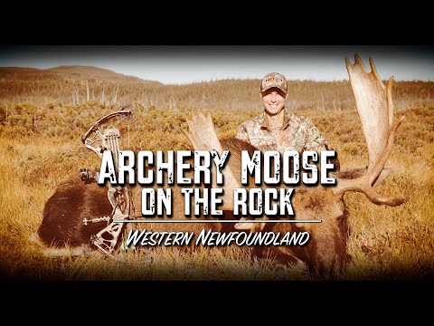 Archery Moose on The Rock | Promo | Season 17