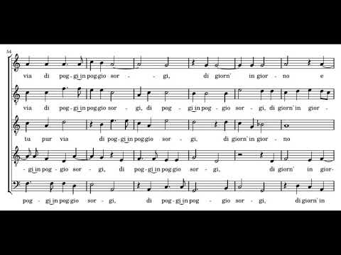 Cipriano de Rore: Amor che vedi - Blue Heron