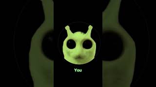 Download lagu Zeb zeb zeb zeb mp3