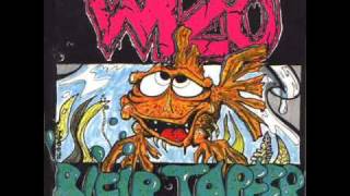 WIZO - Geisterfahrer