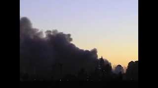 Disintegration Loop 1.1 (official)