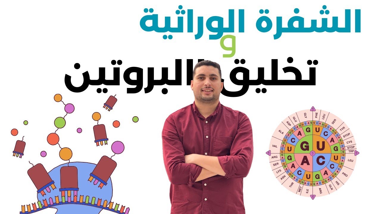 الشرح الأسطوري: تخليق البروتين والـ $RNA$ من الألف للياء 🧬 أحياء تالتة ثانوي 202