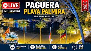 🌞 Live Webcam Playa Palmira / Rendezvous Garden Paguera | 4K | #Balearics #Mallorca #Livestream
 live webcam