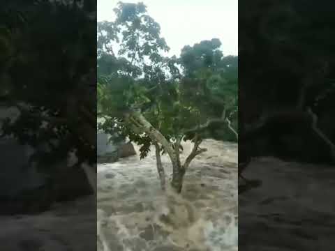 ⚠️ Urgente | Cabeça d'água em Alto Caparaó divisa Espírito Santo - Minas Gerais🌧️