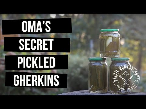 Oma's Secret Recipe Pickled Gherkins