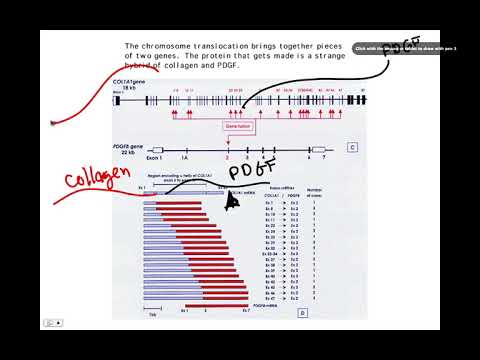 Overview, BIO105 Introductory Biology, David Champlin, USM