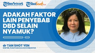 Apa Faktor Penularan Demam Berdarah Selain dari Nyamuk Aedes Aegypti? Ini Kata Dokter Tan