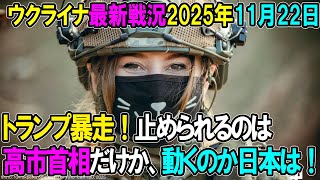 【ウクライナ戦況】25年11月22日。2