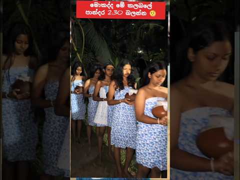 වෙස් තියන්න පෙර දූර්ලබ දසූනක්😱😲 #2026 #love #1milio #viralcomedy #dance #dance #funny #shortsfeed