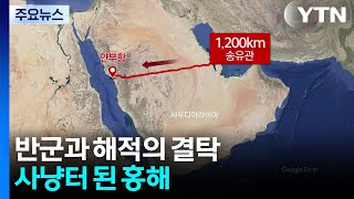 반군과 해적의 결탁...사냥터 된 홍해 / YTN