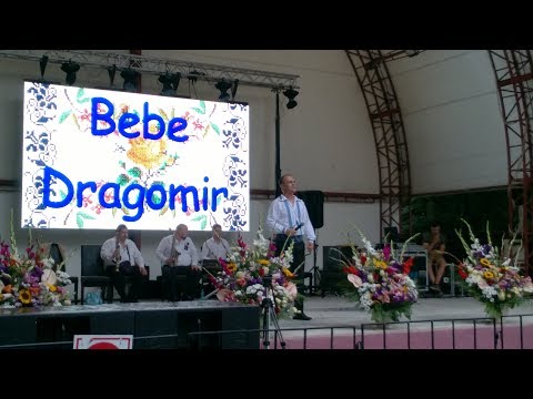 Bebe Dragomir la Zilele orasului Deta 2019