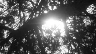 dentro me afterhours & verdena