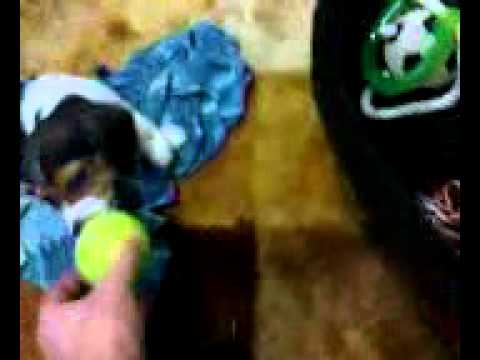 oops, he did it again