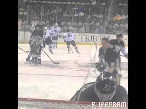 Sharks vs penguins